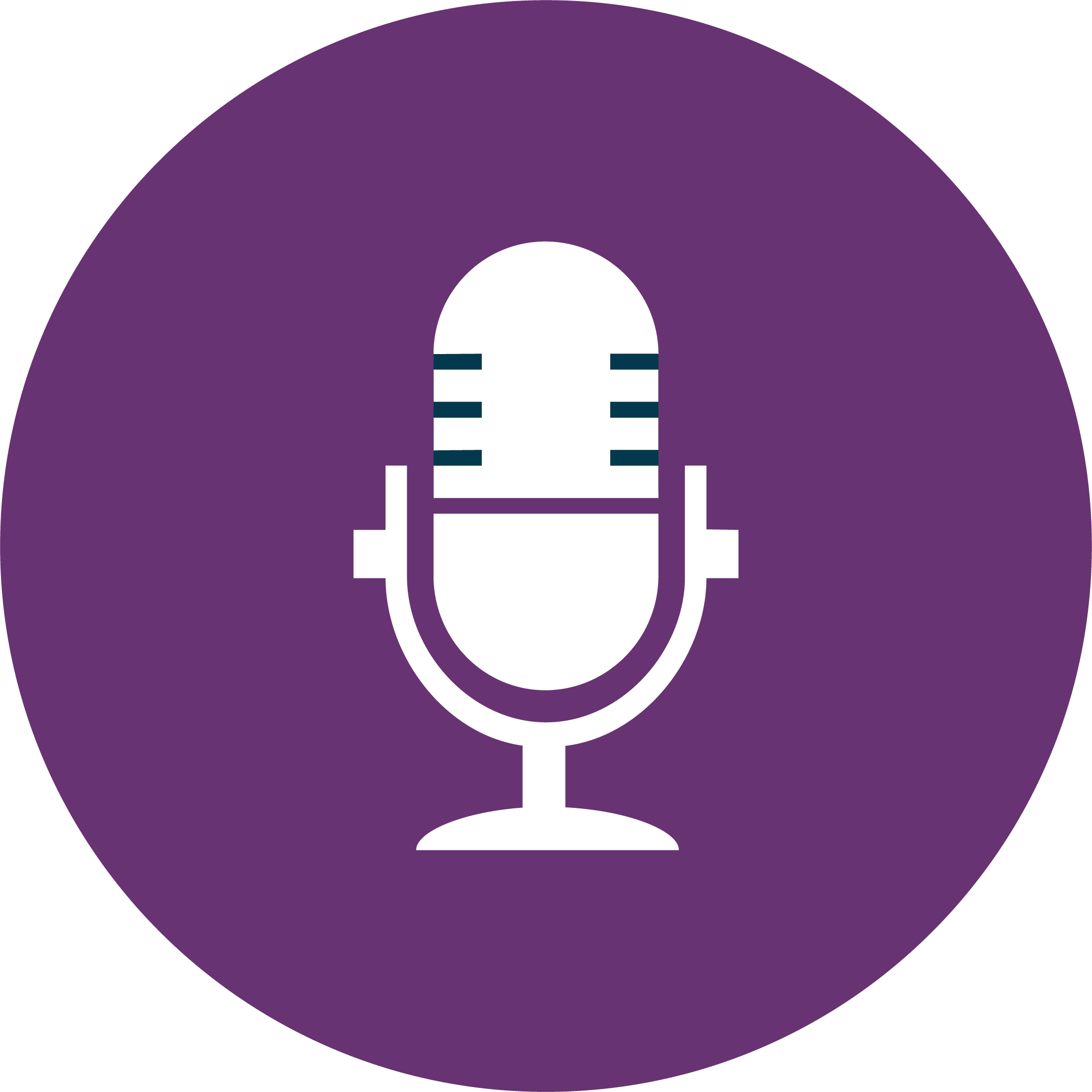 mic Microphone Icon